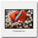 Underwater.gif