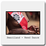 Swazi_reed_dance.gif